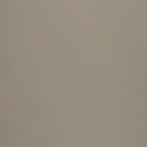 Meet your Posher, Fallon